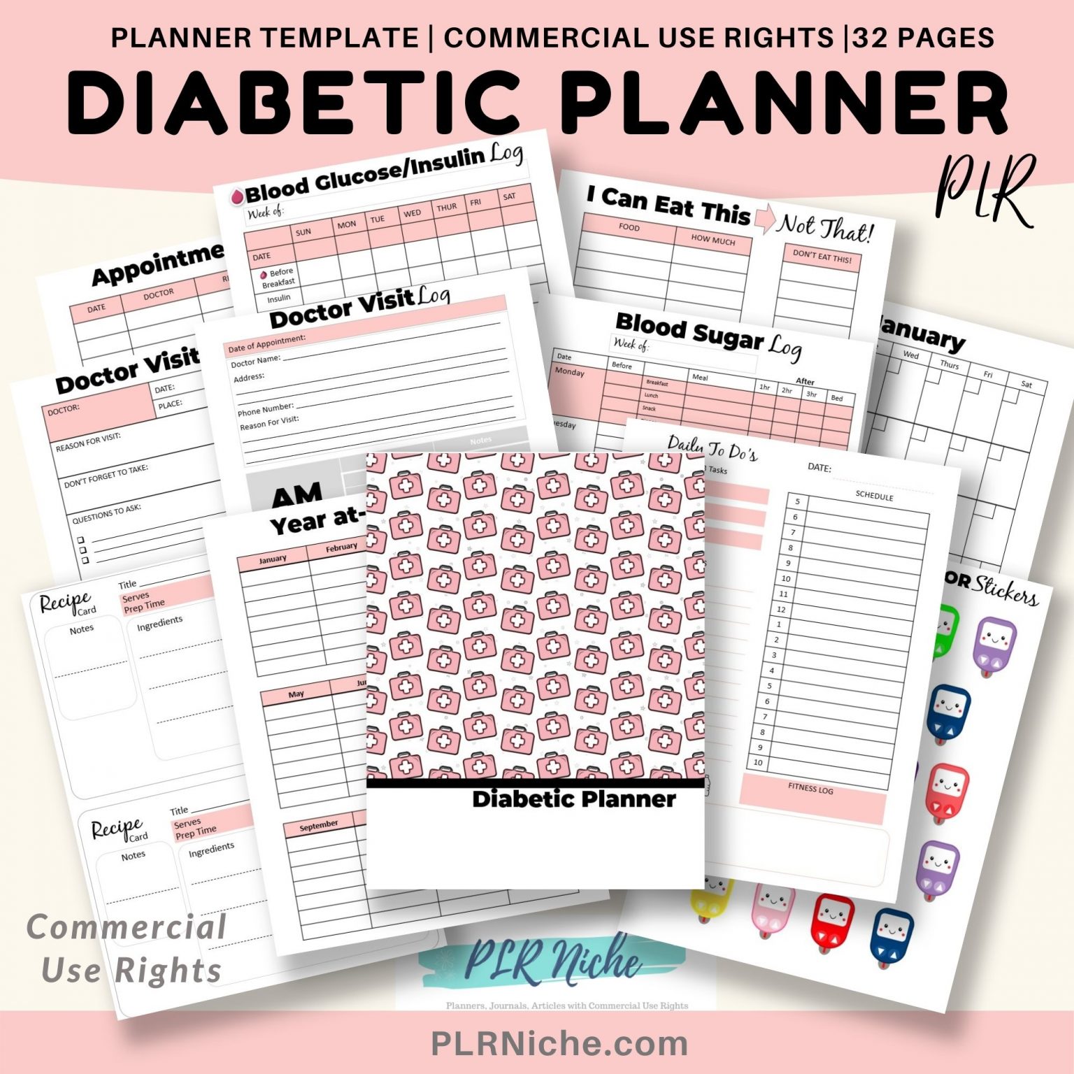 Diabetic Planner PLR - PLR Niche