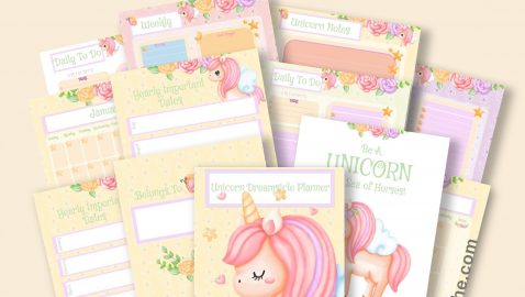 Unicorn Dreamsicle Planner Pic