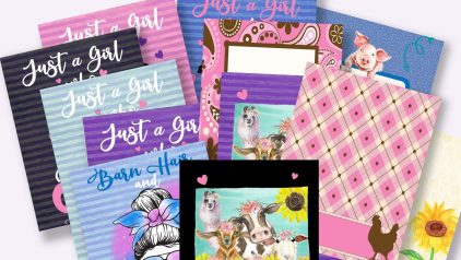 12 Homestead Covers PLR