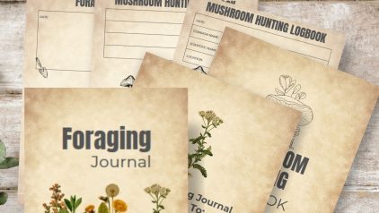 Foraging Journal PLR