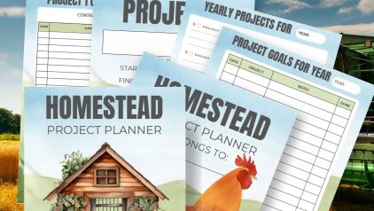 Homestead Project Planner PLR
