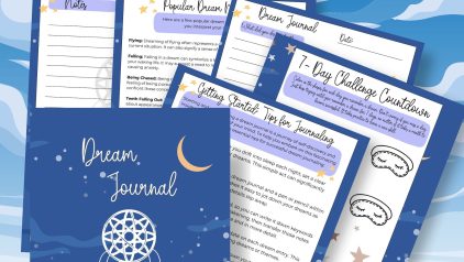 Dream Journal Workbook PLR PLRniche