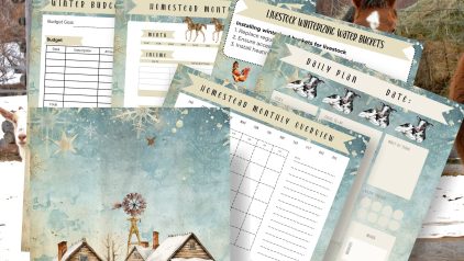Winter Homestead Planner PLR PLRniche