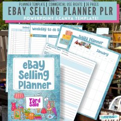 eBay Selling Planner PLR PLRniche