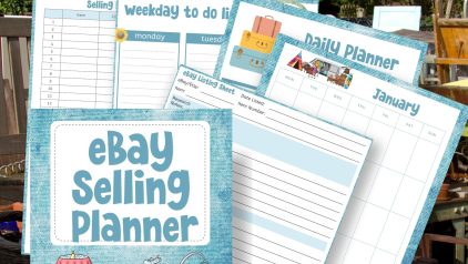 eBay Selling Planner PLR PLRniche
