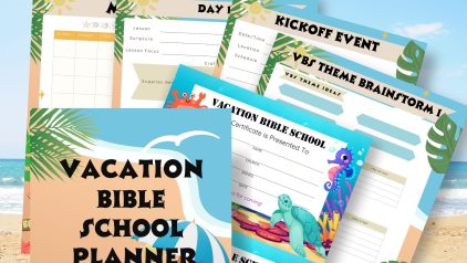 VBS Planner PLR PLRniche