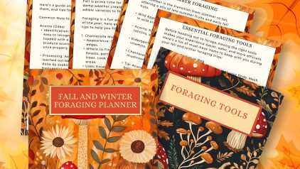 Fall Winter Foraging Planner Pic