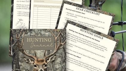 PLRNiche Planners and Journals (1)