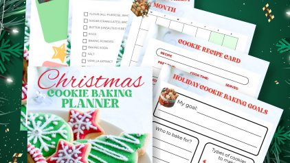 PLRNiche Planners and Journals