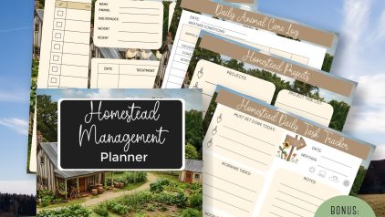 PLRNiche Planners and Journals