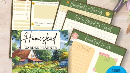 PLRNiche Planners and Journals