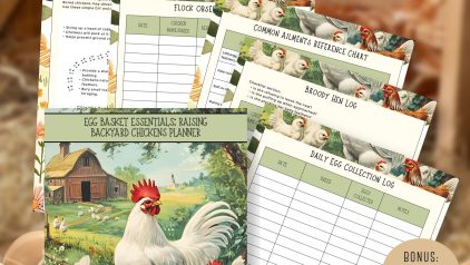 PLRNiche Planners and Journals
