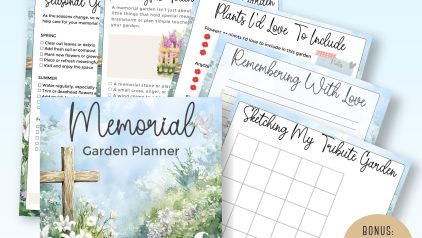 PLRNiche Planners and Journals