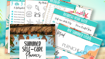 PLRNiche Planners and Journals
